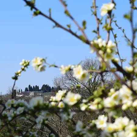 Accogliente Rustico In Prosecco Valley * San Pietro Di Feletto